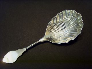 19thc Silver Plated On Steel,  Tea Caddy Spoon,  By 