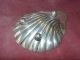 Solid Silver Shell Coaster - 1912 Dishes & Coasters photo 2