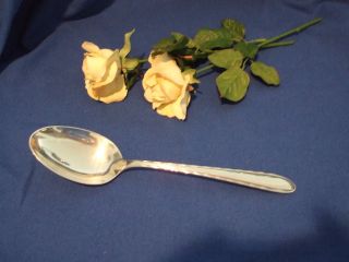Towle Sterling Serving Spoon,  Pattern Silver Flutes,  No Monogram photo