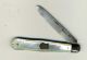 Two Vintage Pocket Knives Sterling Silver Fruit Knife & Sheffield 2 Blade Other photo 1