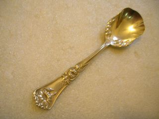 Rockford Silver Gloria Aka Grenoble Pattern Sugar Spoon 1906 photo