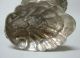 Scarce German Silver Compote Open Salt Cellar Dish Dolphin & Shell 1900 Other photo 8