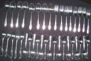 37pc,  Oneida Community Silverplate Flatware Silverware White Orchid Forks Spoons photo