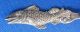 Sugar Loaf Fig Fish Catalina Island California Antique Sterling Souvenir Spoon Souvenir Spoons photo 4
