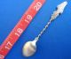Sugar Loaf Fig Fish Catalina Island California Antique Sterling Souvenir Spoon Souvenir Spoons photo 6