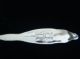 Whiting / Gorham Lily Of The Valley Sterling Berry Spoon 8 3/8 Inches Gorham, Whiting photo 3