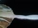 Whiting / Gorham Lily Of The Valley Sterling Berry Spoon 8 3/8 Inches Gorham, Whiting photo 4