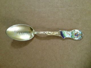 Antique Enameled Sterling Silver Souvenior Spoon Vandalia Missouri photo
