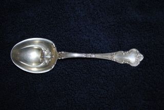 Antique Wendell Sterling Sugar Spoon photo