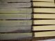Antique Set 12 Birks Stainless Dinner Knives Celluliod Handles Birks photo 1