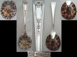 Whiting Sterling Handle Caviar Spoon 