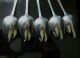 5 Banff Provincial Silver Tea Spoons Other photo 5