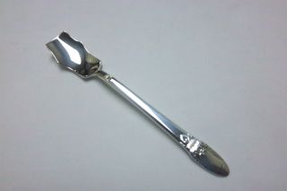 First Love Caviar Serving Spoon 1847 Rogers Bros. photo