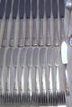 Oneida Nobility Plate Caprice Service For 10 Silverplate Flatware Set 87 Pieces Oneida/Wm. A. Rogers photo 3