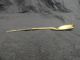 Imperial Russian Silver 88 Champleve Enamel Spoon By Ivan Khlebnikov Russia photo 4
