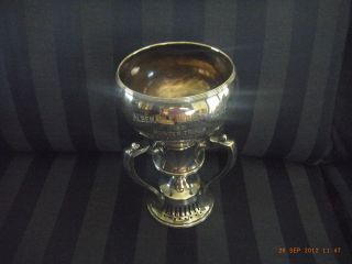 American Silver Plated Presentation Cup photo
