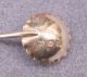 Estate Birmingham Sterling Silver Looped Handle Salt Spoon Hlmrk Anchor Lion S Miniatures photo 2