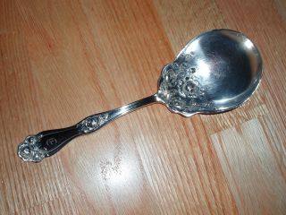 American Beauty Rose Berry/casserole Spoon By Holmes & Edwards 1909 photo