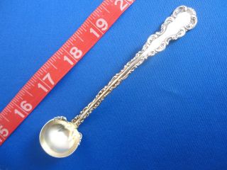 Fancy Whiting Louis Xv Antique Sterling Silver Mustard Ladle Spoon 1891 photo