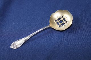 Sterling Silver Nut Scoop; Towle,  Rustic.  Cr 1895 Pierced Shaped & Gilded Bowl. photo