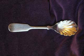 Tipped International Silver Sugar Shell,  Rogers 1847 - photo