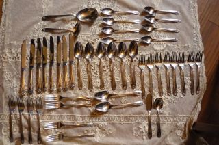 8 Place Setting 1847 Rogers Bros.  Daffodil Silverplate Flatware Nr photo