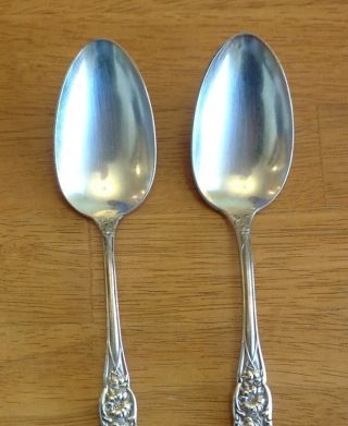 2 Gloria Aka Grenoble 8 1/4serving Spoons 1906 photo