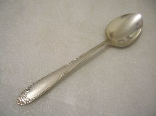S.  L.  & G.  H.  Rogers English Garden Pattern Serving Or Tablespoon 1949 photo