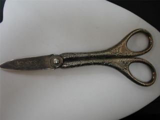 Tiffany & Co Antique Sterling Scissors 229m6595 Grapevine Eng Cb Missing Blade photo