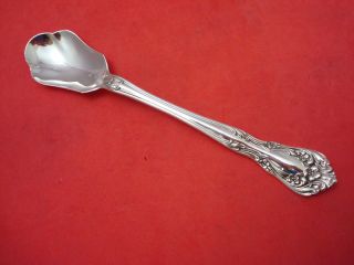 Chateau Rose Alvin Sterling Relish Spoon photo