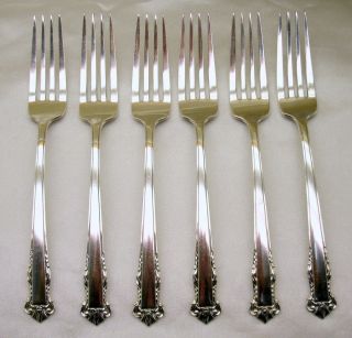Lunt Sterling Silver English Shell 6 Dinner Forks 1937 Nomonos Cond 273.  3g photo