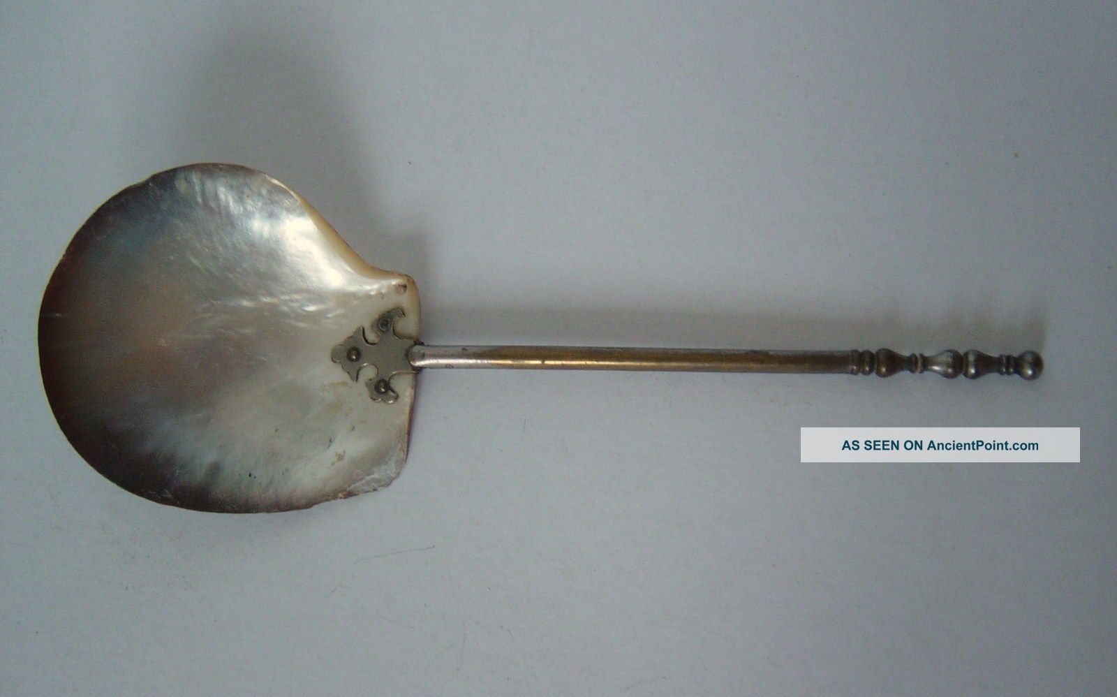 Unusual Antique Toddy Ladle - Bowl Made From Shell With Decorative Handle Ladles photo