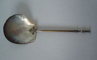 Unusual Antique Toddy Ladle - Bowl Made From Shell With Decorative Handle photo