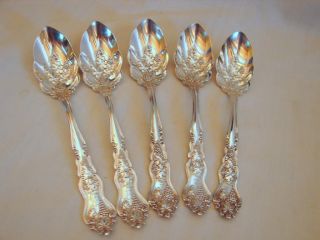 5 Old Ca 1906 American Silver Co.  Moselle Ornate 6in Orange,  Citrus Spoons, photo