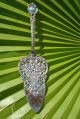 1900 Antique Solid Silver 800 Cherubs & Roses Barock Style Cake Server Very Rare Tea/Coffee Pots & Sets photo 9