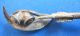 Exquisite Figural Tasmania Australia Seashell Antique Silver Souvenir Spoon Old Souvenir Spoons photo 3