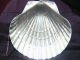 Tiffany & Co.  Sterling Silver Seashell Bon Bon Tray - 192 Grams Bowls photo 2