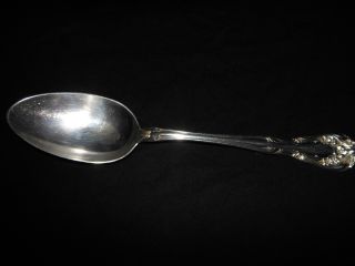 Alvin Sterling Silver Serving Spoon 8 1/2 Long photo