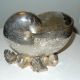 Rare Sheffield Silverplate Nautilus Shell Spoon Warmer Sea Shells Marine Plants Bowls photo 5