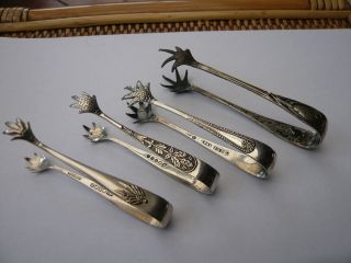 Job 4 Antique Vintage Silver Plated Claw Sugar Nip Tongs Victorian Gothic photo