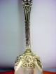 Antique Wm.  A Rogers Warwick Pattern Spoon Ornate 1901 Oneida/Wm. A. Rogers photo 1