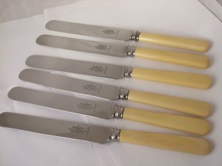 Vintage Trustworthy Stainless Steel 6 Dinner Knives Mappin & Webb - Sheffield photo