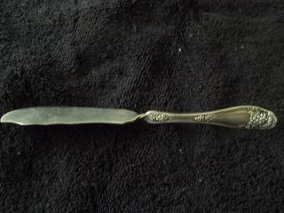 Rogers & Bros 1913 Isabella Aka Grape Grapes Silver Plate Master Butter Knife photo