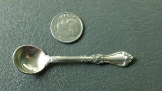 Royal Rose By Wallace Sterling Silver Salt Spoon photo