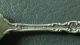 Royal Rose By Wallace Sterling Silver Salt Spoon Wallace photo 1
