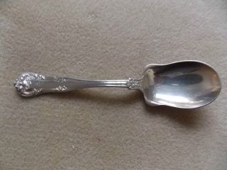 Vintage Silverware Flatware Plate 1902 Gorham Ornate Jelly Condiment Spoon photo