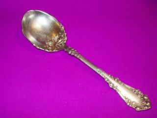 Antique 1847 Rogers Bros A1 Silverplate Berkshire Ornate Sugar Berry Spoon 1897 photo