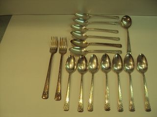 Rogers 1954 Deluxe Plate Flatware Mountain Rose Silverplate 16 Pieces photo