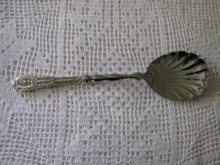 Sterling Shell Spoon In Rose Pointe By Wallace photo