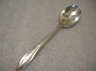 1847 Rogers Springtime Pattern 1 Slotted Serving Spoon 1957 photo